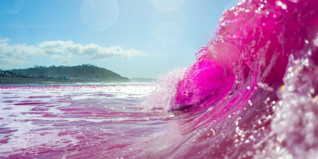 Pink waves at Torrey Pines State Beach, temporarily dyed as part of a study by the Scripps Institution of Oceanography at the University of California-San Diego, on Jan. 20, 2023 / Credit: Erik Jepsen/UC San Diego