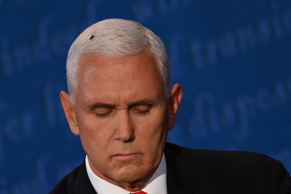 A fly rests on the head of Vice President Mike Pence as he takes notes during the vice presidential debate on Oct. 7, 2020.