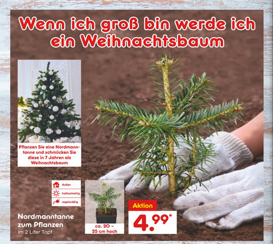 NUR SIEBEN JAHRE BIS ZUM WEIHNACHTSBAUM!