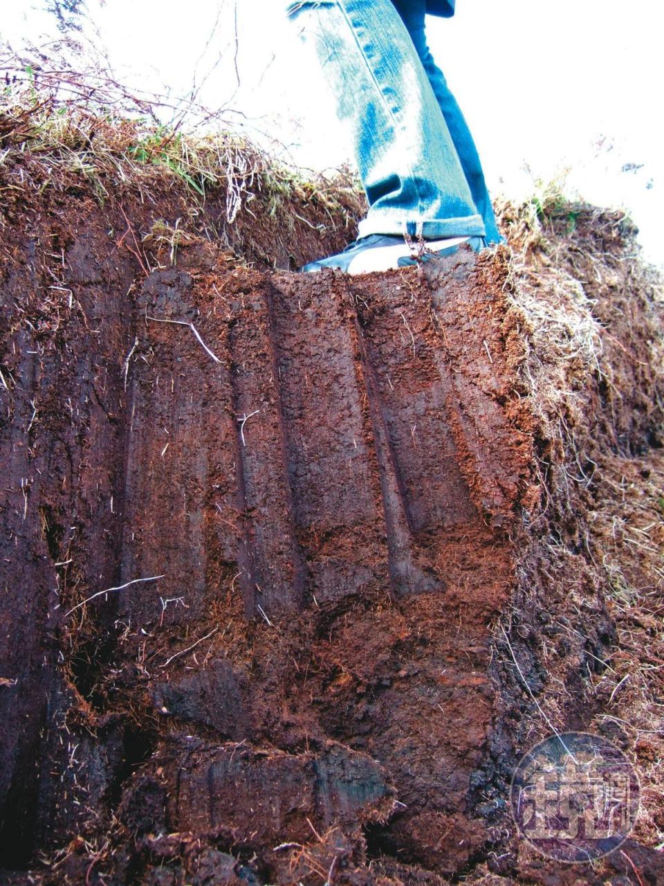 挖開的泥煤田剖面，會發現表層較鬆散，底層緊實且顏色深。