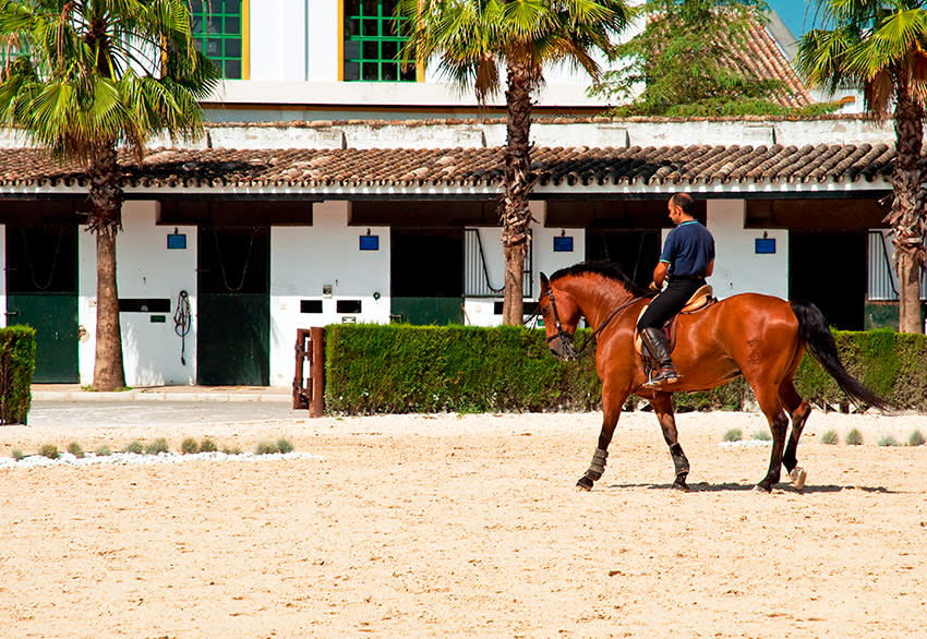 jerez-de-la-frontera-escuela-ecuestre