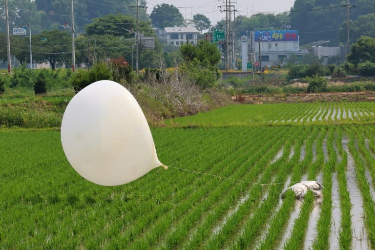 In von Nordkorea nach Südkorea geschickten Müllballons sind nach Angaben aus Seoul Parasiten aus menschlichen Fäkalien festgestellt worden. (-)