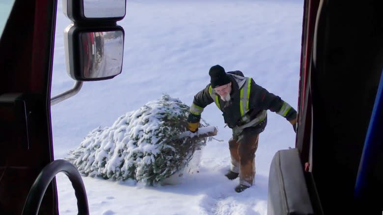 Fewer Christmas trees at curb — and that's fine by P.E.I. sanitation workers