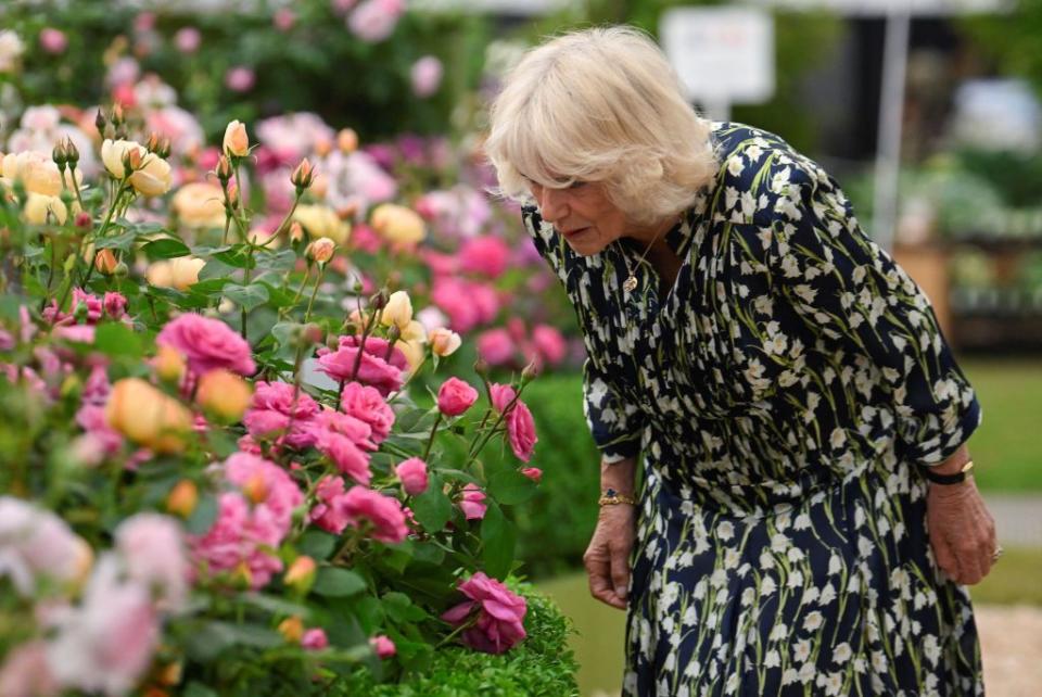 king charles iii and queen camilla visit the 2023 chelsea flower show