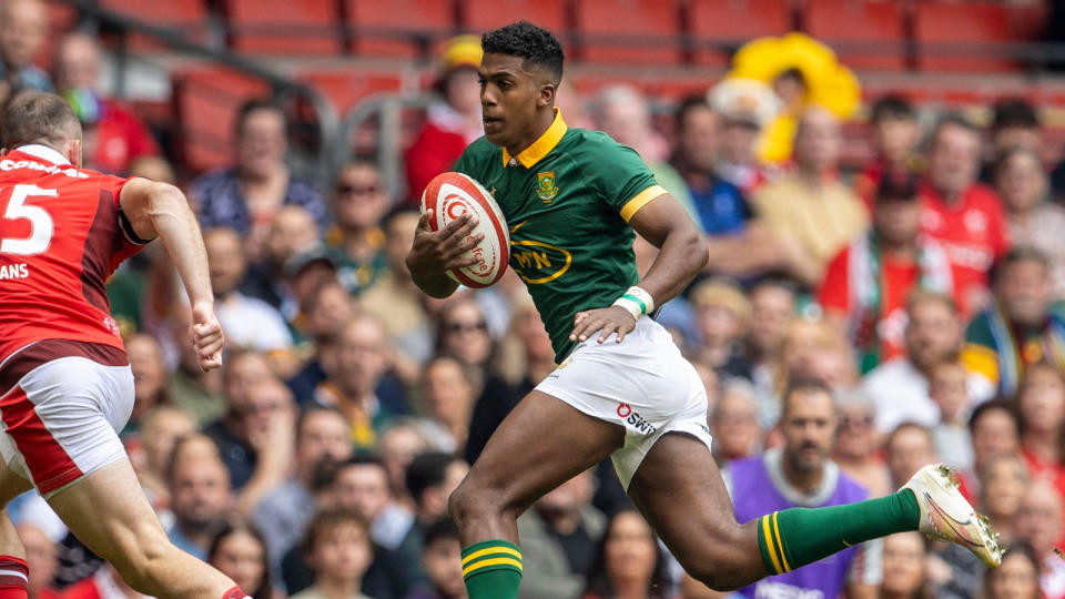 Springboks wing Canan Moodie against Wales. Credit: Alamy