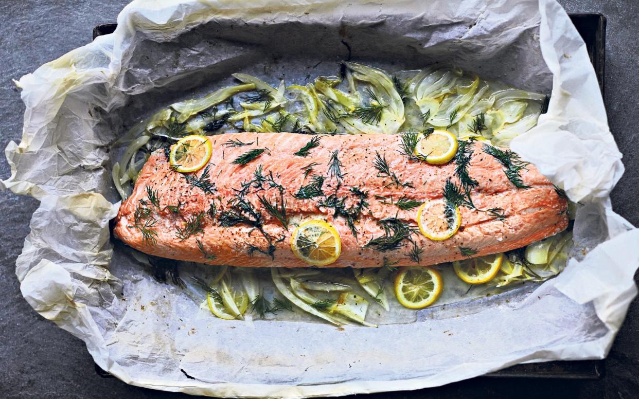 Salmon