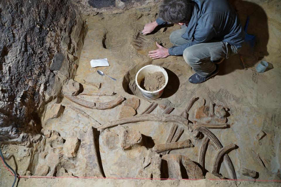 PHOTO: OeAI archaeologist Marc Handel uncovering the bones.  (H. Parow-Souchon/OeAW-OeAI)