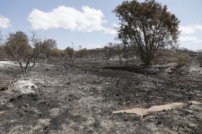 El daño ambiental por los incendios de los últimos días es notorio en la zona de Punilla, Córdoba