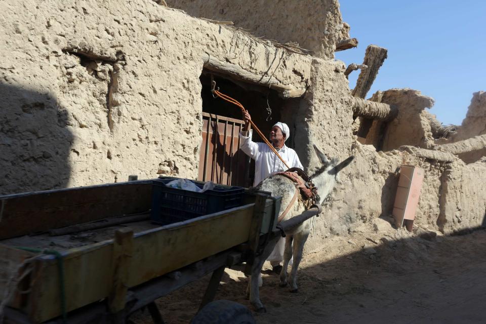 A man unties his donkey and cart as he prepares to leave his house, in Siwa