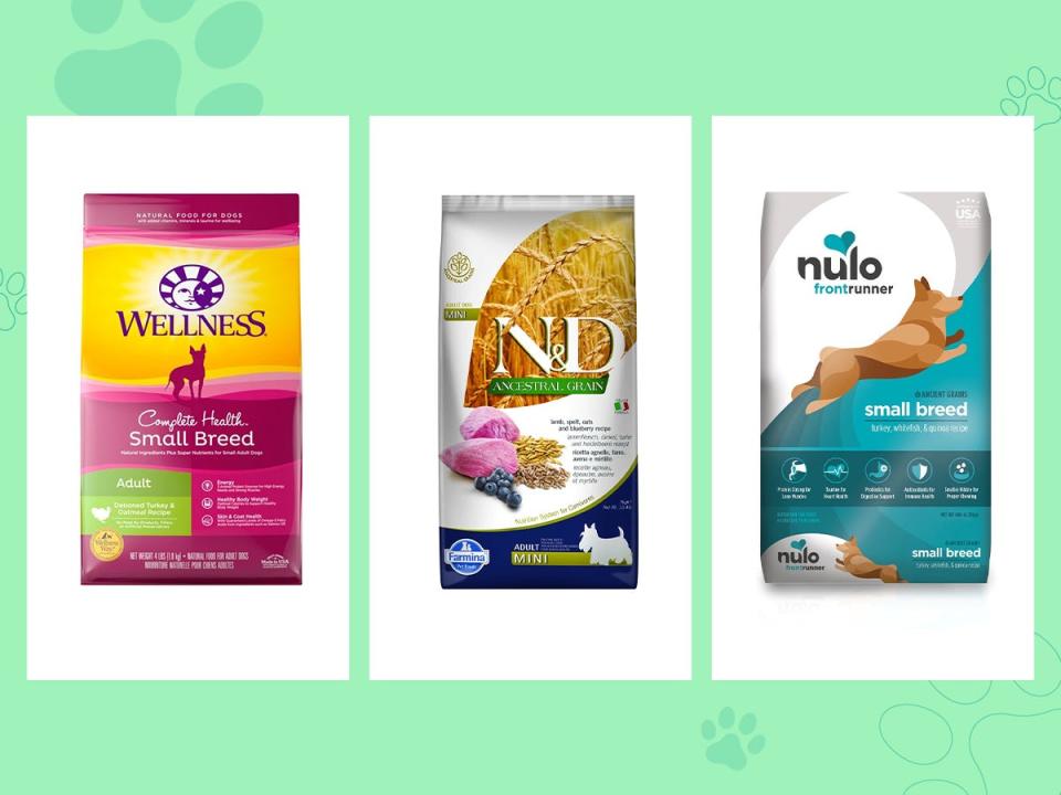 Three bags of the best dry food for small dogs from Farmina, Wellness, and Nulo on a green background.
