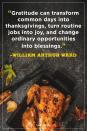 <p>"Gratitude can transform common days into thanksgivings, turn routine jobs into joy, and change ordinary opportunities into blessings."</p>