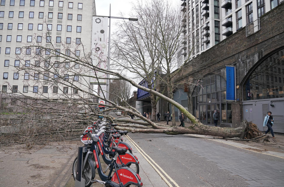 A fallen tree near Waterloo in London, as Storm Eunice lands in London on Friday afternoon. (PA)