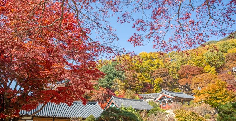 浮石寺