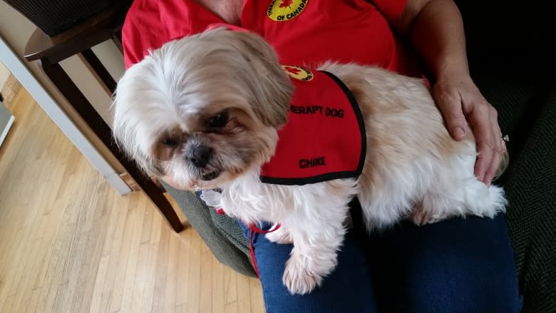 'The whole waiting room calmed down:' Therapy dogs approved for Charlottetown ER