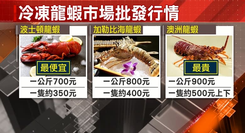 加勒比海龍蝦一隻大約400塊，相較於最貴的澳洲龍蝦一隻500塊上下，便宜不少。（圖／東森新聞）