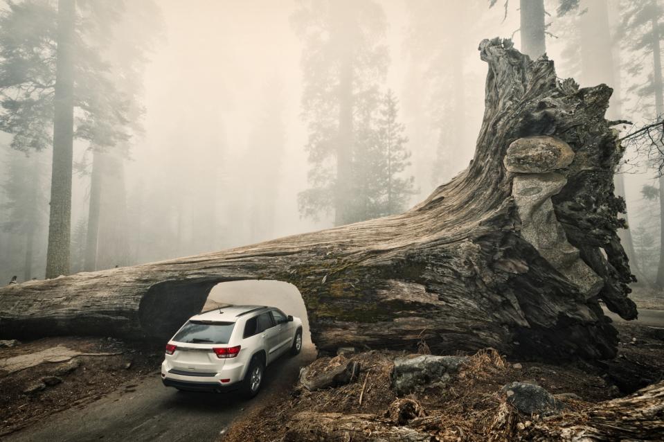 <p><b>Tipi di auto</b>. I SUV e i Crossover vanno per la maggiore. Se c’è un genere che adoriamo, sono le Suv e le crossover. Nel 2016 hanno rappresentato il 26,8% del venduto. (GETTY) </p>