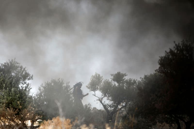 Palestinians protest against Israeli settlements, in West Bank