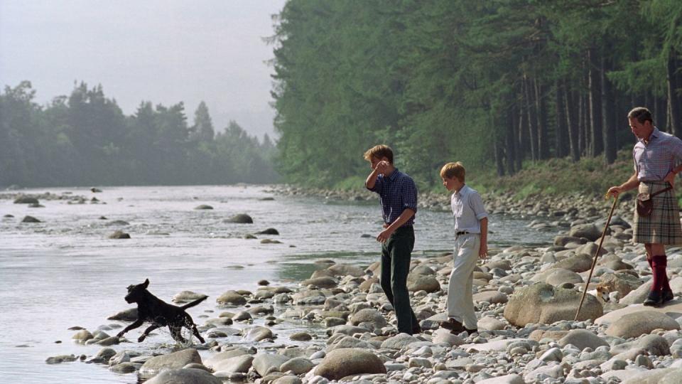 charles, william, harry and dog