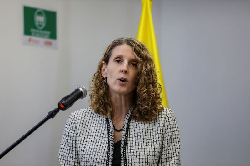 La directora regional de la Oficina de las Naciones Unidas contra la Droga y el Delito (UNODC) para la Región Andina y el Cono Sur, Candice Welsch, habla en una conferencia de prensa, en Bogotá