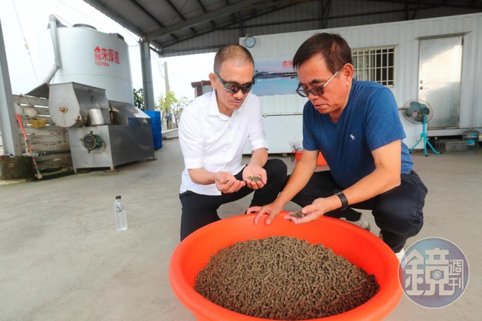 他們養殖的魚，都吃特製魚餌，不同魚種，配方還不同。