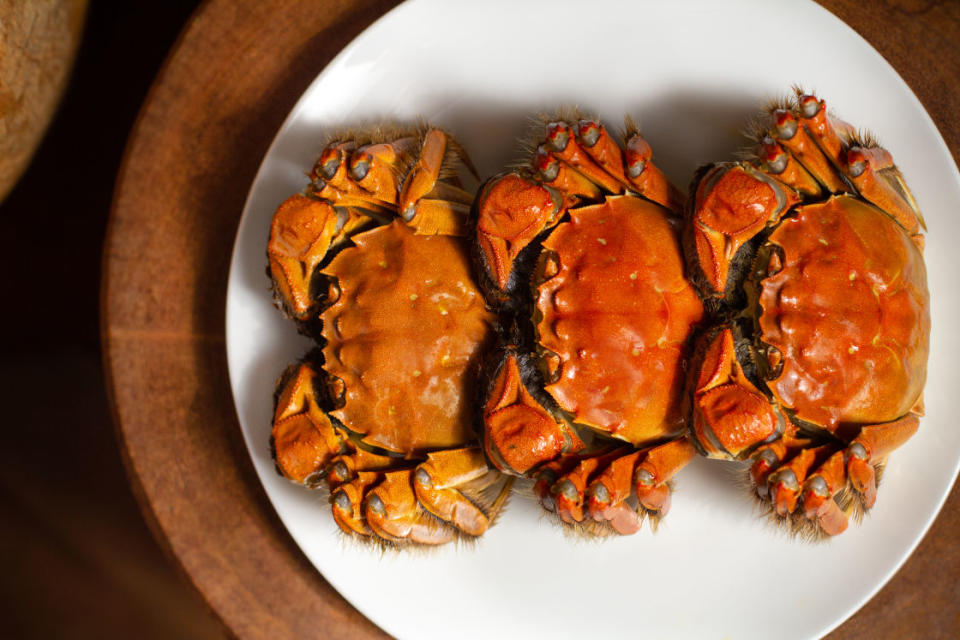 Hairy Crabs 2022｜Fate of Taste on Small Gathering is limited to 3 people and 1 person is free!$246 per person per person