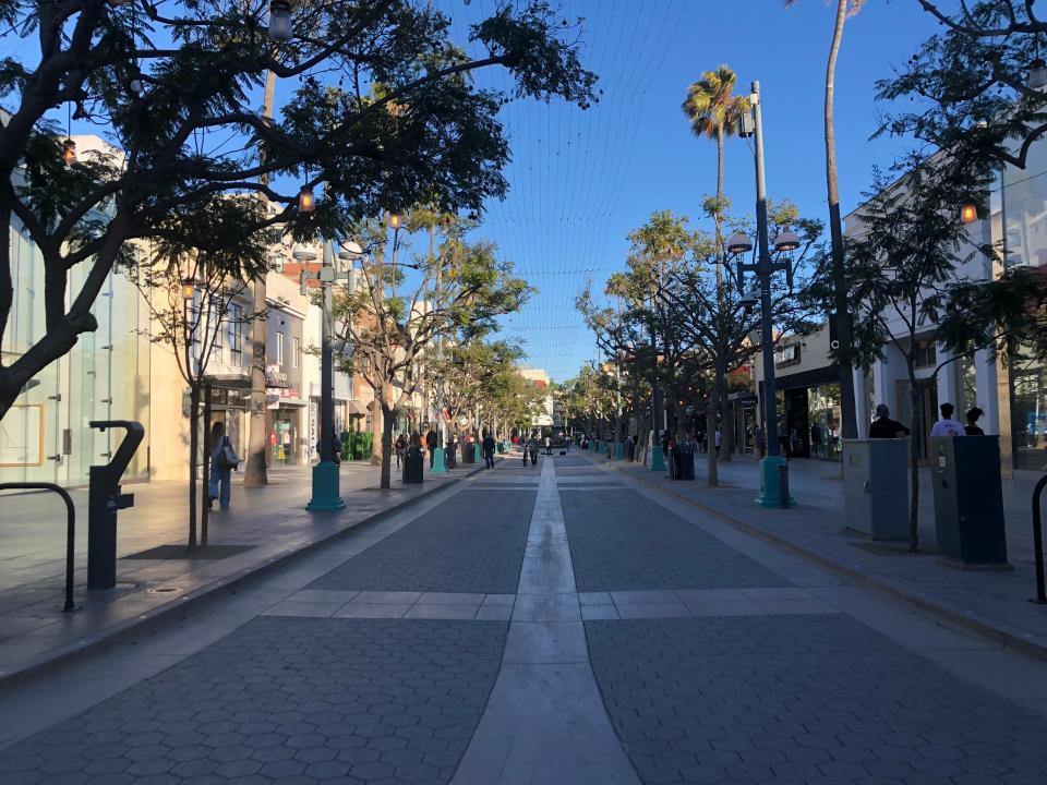 tree lined street in santa monica california