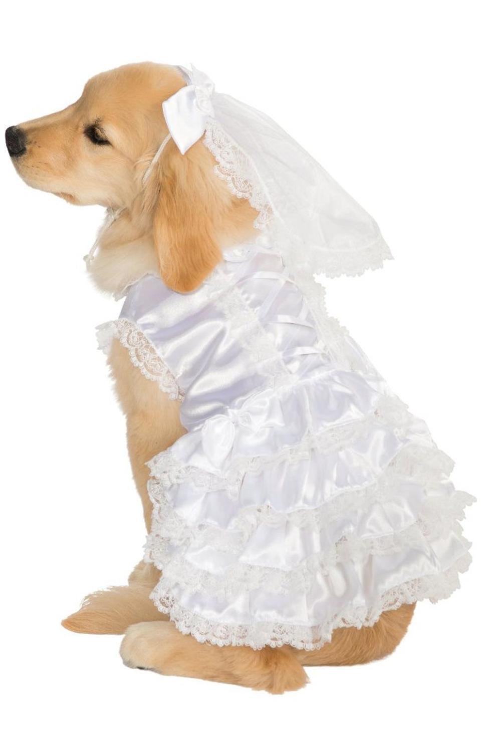 Bride Dog Costume