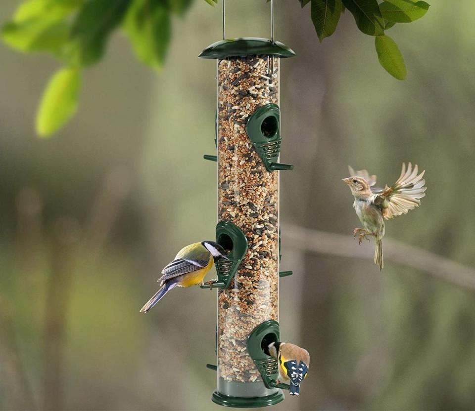 A tube bird feeder with small birds perched on it