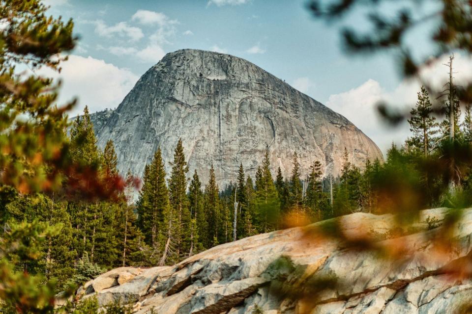 El Capitan in Yosemite National park, California