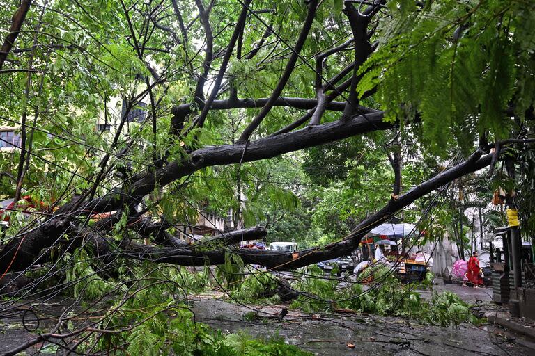 Los viajeros pasan junto a árboles arrancados de raíz después de las fuertes lluvias en Calcuta el 27 de mayo de 2024, tras la llegada del ciclón Remal al estado indio de Bengala Occidental