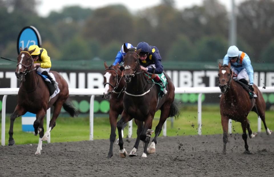 The incident took place at Kempton’s all-weather track (John Walton/PA) (PA Wire)