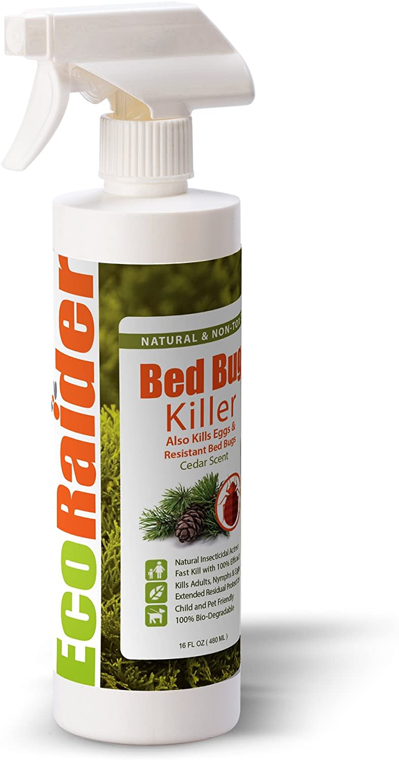 best pest repellents ecoraider