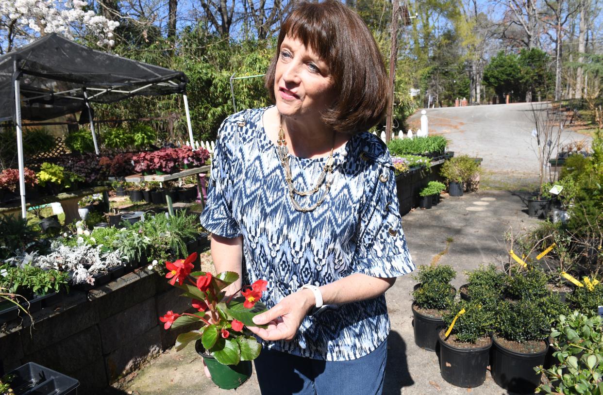 Ann Foster Viehman of Foster's Garden Center in Spartanburg. Foster's Garden Center is a family owned business that has been in Spartaburg more than 50 years. Viehman gives easy tips on how to care for plants.