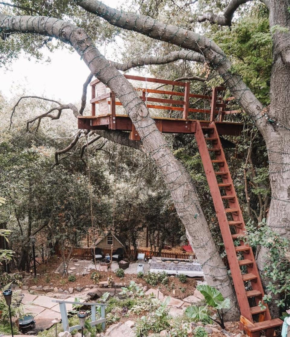 treehouse