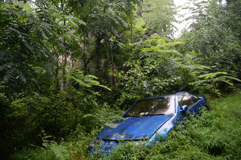 A blue sedan buried amongst the bushes off of Jones Street catches your eye at first. A closer inspection reveals the barely-visible remains of a home in Uniontown.