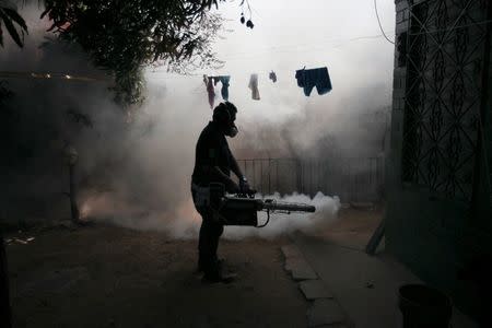 A health worker fumigates the Altos del Cerro neighbourhood as part of preventive measures against the Zika virus and other mosquito-borne diseases in Soyapango, El Salvador January 21, 2016. REUTERS/Jose Cabezas