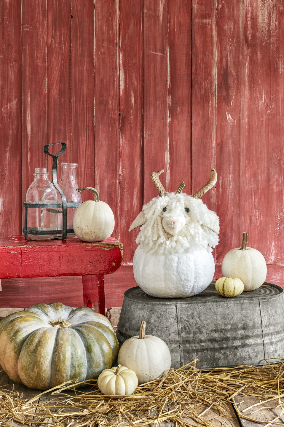 Sheep Pumpkin