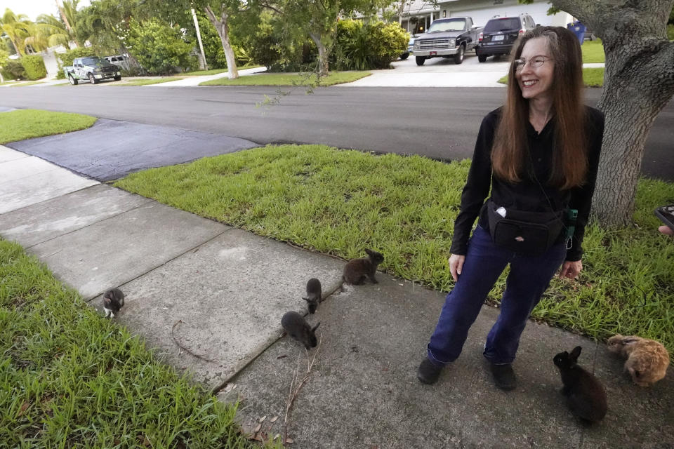 Alicia Griggs looks out at rabbits outside her home during an interview, Tuesday, July 11, 2023, in Wilton Manors, Fla. Griggs is spearheading efforts to raise the $20,000 to $40,000 it would cost for a rescue group to capture, neuter, vaccinate, shelter and then give away the estimated 60 to 100 lionhead rabbits that now populate Jenada Isles, an 81-home community in Wilton Manors. (AP Photo/Wilfredo Lee)