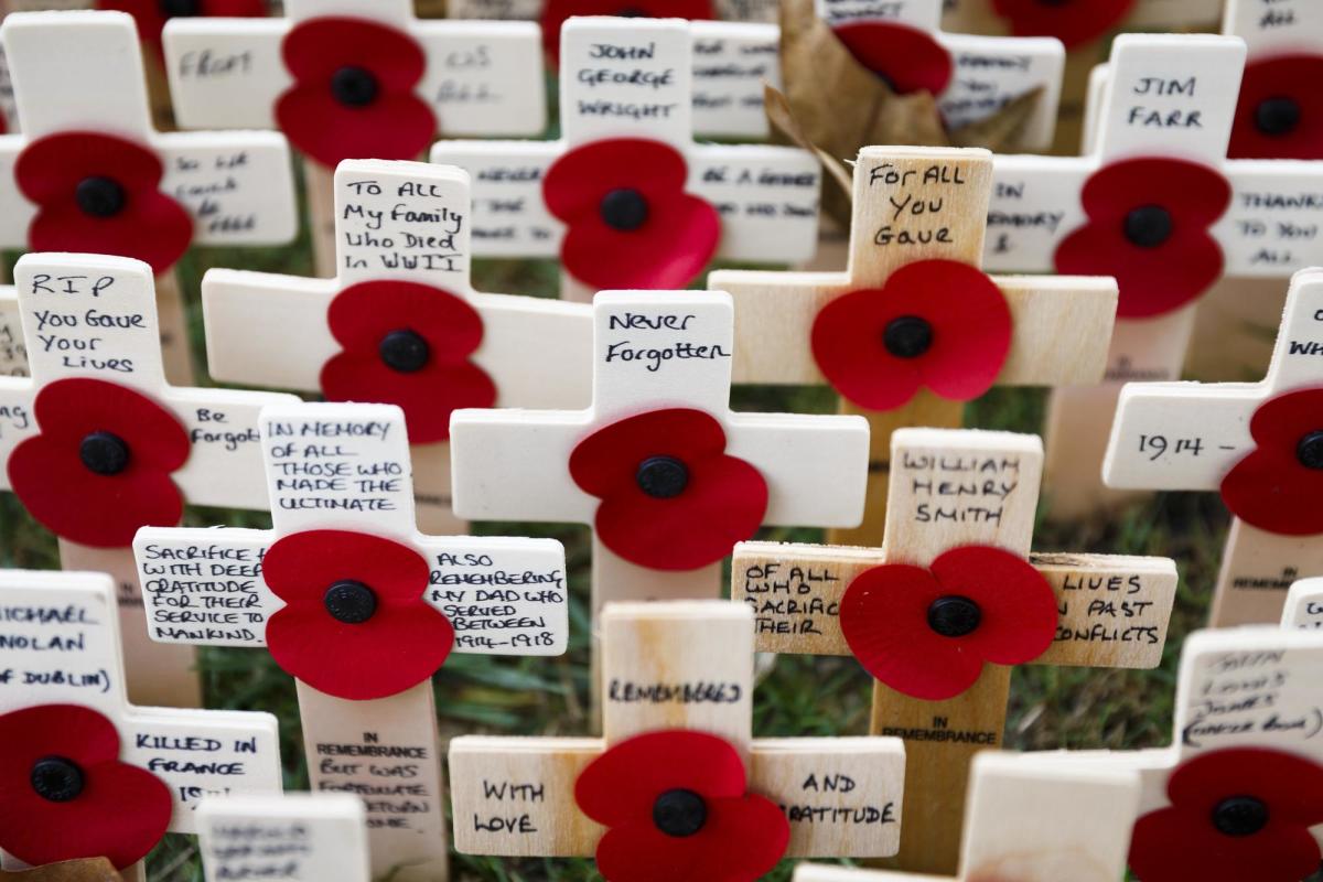 Remembrance poppies to be made entirely from paper in future, Remembrance  Day