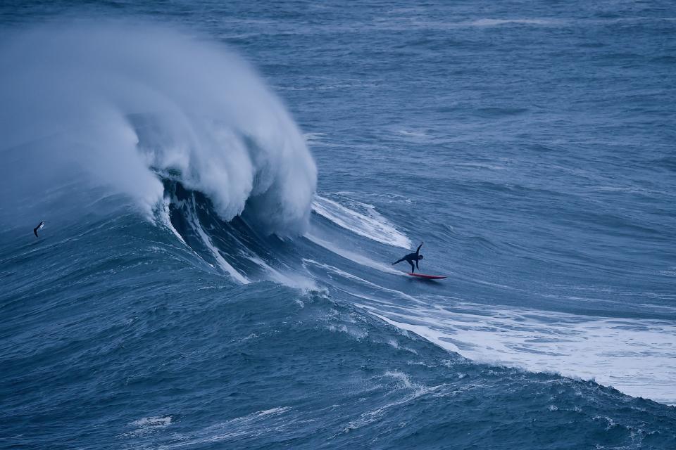 Coole Surfer-Bilder gegen den Winterblues