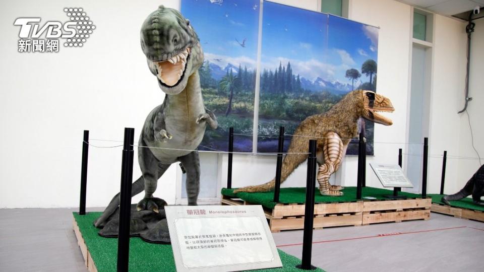 恐龍與彗星展 侏儸紀等8件古生物標本供觀賞