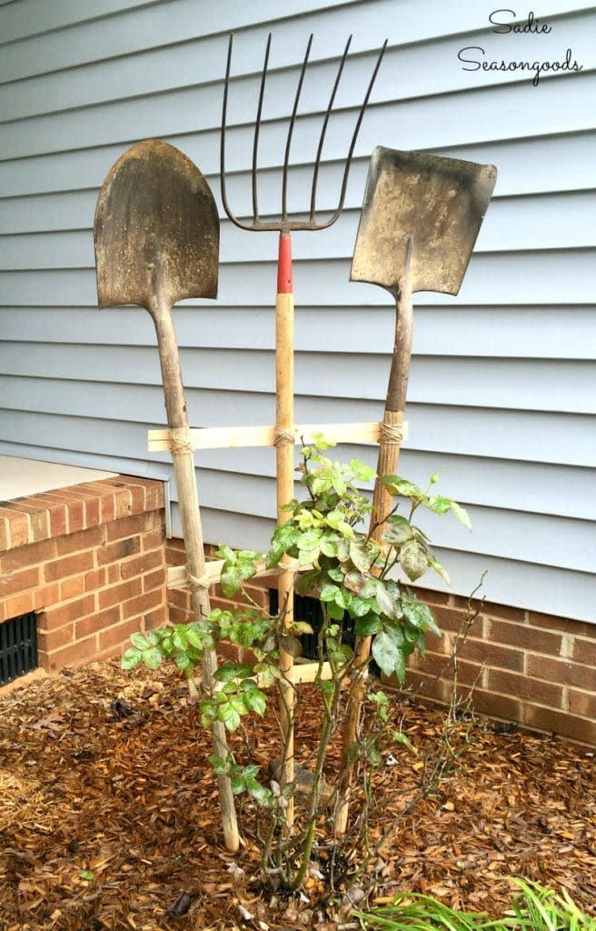 garden tools trellis