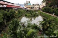 Estero de Paco near the Paco Market this month.