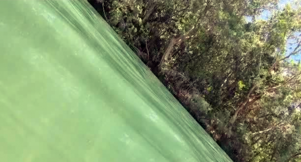 The woman's footage at Rollingstone Creek swimming hole, north of Townsville. 