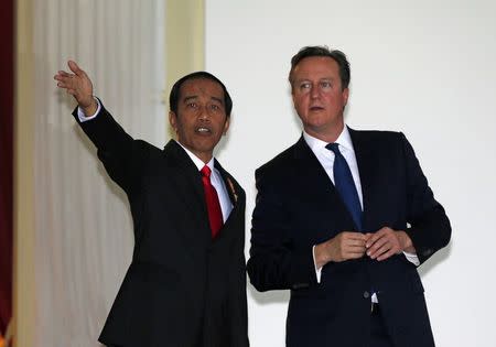 Britain's Prime Minister David Cameron (R) and Indonesia's President Joko Widodo view the garden at the Presidential Palace in Jakarta, Indonesia, July 27, 2015. REUTERS/Darren Whiteside