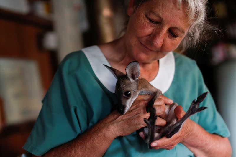 The Wider Image: At home with couple who saved baby kangaroos from the fires