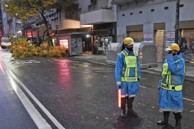 La tormenta dejó gran cantidad de árboles caídos en CABA y en la provincia de Buenos Aires