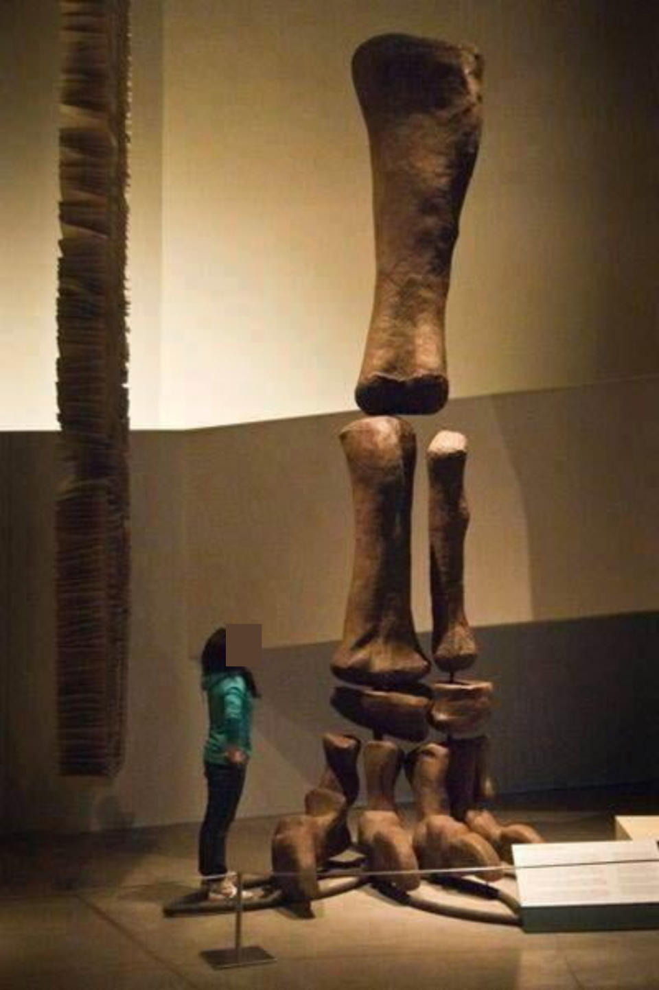 A woman standing next to a dinosaur leg in a museum