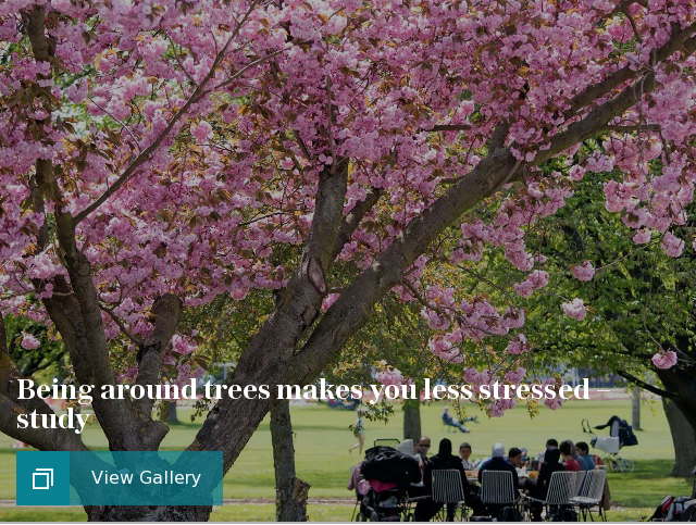 Being around trees makes you less stressed – study