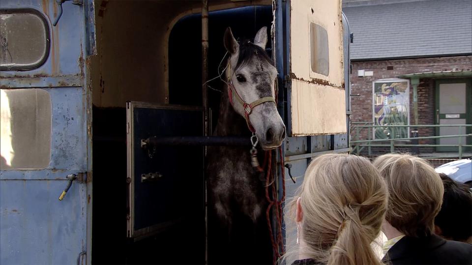 Monday, May 27: Sally, Jenny, Sinead and Yasmeen take ownership of a horse